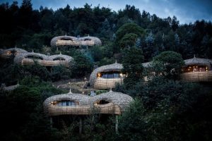 Wilderness Safari Rwanda