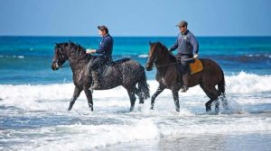 Balade à cheval avec Caval&Go à Minorque