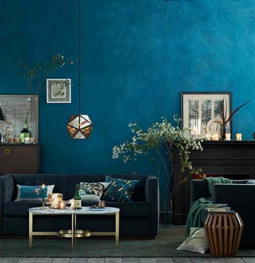 Salon cosy avec plantes vertes avec des murs bleu