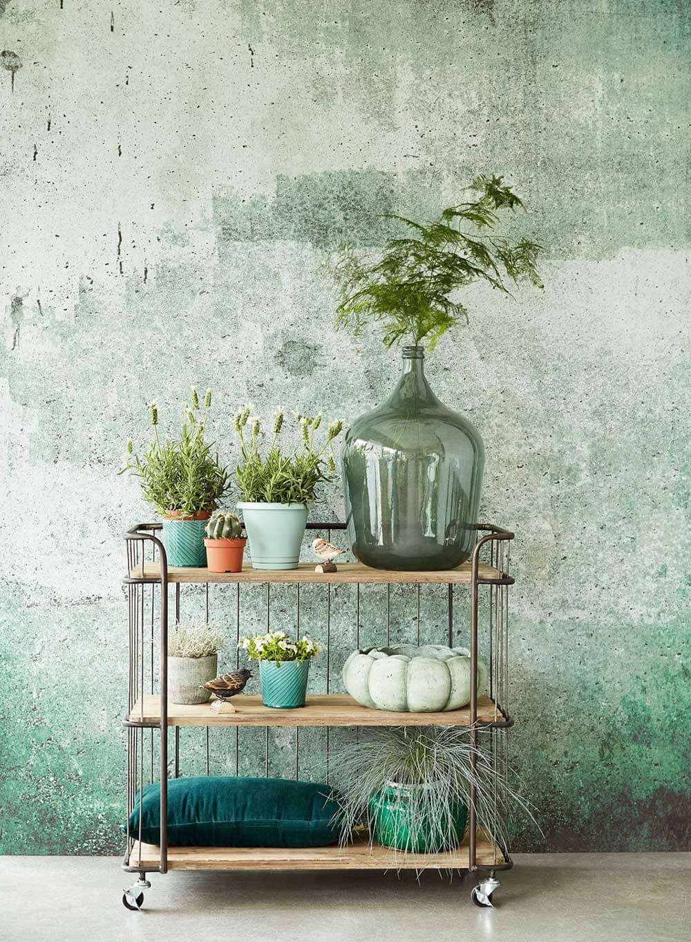 Composition décorative avec plantes sur mur vert de gris - Decorazine.fr